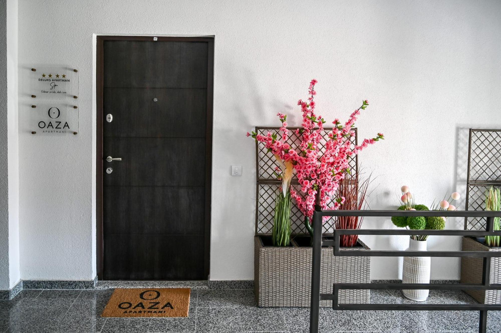 Apartment Oaza